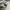 Dickies Vintage Y2K Short Pria white photo 6