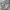 New Balance Streetwear Sneakers Pria multicolor photo 1