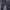 Dickies Streetwear Skater Casual pants Pria gray photo 1