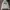 WHO.A.U Streetwear Hoody Pria cream photo 1