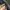 Fieldcore Streetwear Casual Puffer jacket Pria blue photo 3