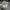 Adidas Streetwear Sportswear Sneakers Pria White