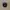 Zoo York Vintage Skater Hat Pria black photo 3