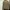 GAP Streetwear Casual Sweater Wanita tan brown photo 3