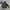The North Face Gorpcore Track Jacket Pria Black
