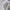 GENTLEWOMAN Streetwear Shoulder bag Wanita white black photo 1