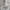 GENTLEWOMAN Streetwear Shoulder bag Wanita white black photo 4