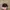 Vintage Streetwear Hat Pria black photo 6