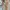 Y2K Coquette Cami top Wanita tan photo 2