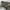 Semantic Design Grunge Jeans Pria gray photo 7