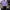 Streetwear Casual Crop top Wanita purple green photo 4