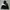 Biker Sportswear Windbreaker Pria black photo 1