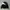 Biker Sportswear Windbreaker Pria black photo 3