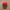 Vintage Casual Hat Pria red photo 1