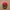 Vintage Casual Hat Pria Red