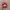 Vintage Casual Hat Pria red photo 2