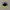 Disney Vintage Y2K Hat Pria purple photo 5