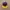 Disney Vintage Y2K Hat Pria purple photo 1