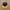 Disney Vintage Y2K Hat Pria Purple