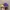 Disney Vintage Y2K Hat Pria Purple
