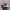 Disney Vintage Y2K Hat Pria purple photo 3