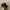 Vintage Streetwear Hat Pria black photo 2