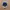 MLB Vintage Sportswear Hat Pria Gray Blue