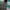 Urban Research Grunge Casual Parka Pria green photo 3