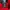 Converse Casual Bomber jacket Kids red photo 4
