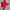 Converse Casual Bomber Jacket Kids Red