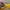 Vintage Streetwear Hat Pria white yellow photo 4