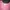 Sportswear Casual Sweatshirt Wanita pink photo 4