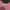 Sportswear Casual Sweatshirt Wanita pink photo 2