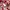 Balmain Avant Garde Polo shirt Pria red photo 5