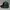 John F. Gee Sportswear Casual Hat Pria green black photo 4