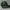 John F. Gee Sportswear Casual Hat Pria green black photo 5