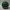 John F. Gee Sportswear Casual Hat Pria green black photo 6