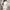 Casual Midi dress Wanita white photo 2