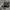 Nike Streetwear Sneakers Pria brown black photo 1