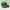 John F. Gee Sportswear Casual Hat Pria green photo 4