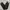 Levi's Casual Jeans Pria black photo 1