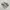 VANS Casual Sneakers Wanita white black photo 1