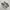 VANS Casual Sneakers Pria white black photo 1