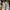 Converse Casual Sneakers Pria white photo 4
