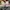 Converse Casual Sneakers Pria white photo 5