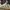 Converse Casual Sneakers Pria white photo 1