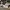 Converse Casual Sneakers Pria white photo 3