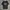 Calvin Klein Minimalist T-shirt Pria black photo 1