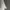 The North Face Skater Indie T-shirt Pria white photo 5