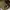 Stussy Streetwear Y2K Hat Pria khaki photo 3